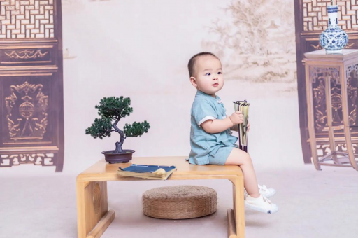 南县可爱的企鹅宝宝